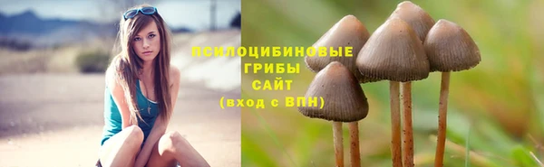 альфа пвп Володарск