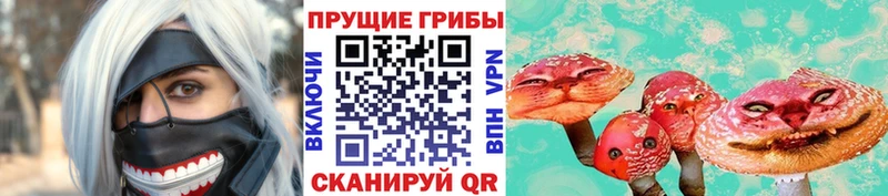 цены   Минеральные Воды  Псилоцибиновые грибы прущие грибы 