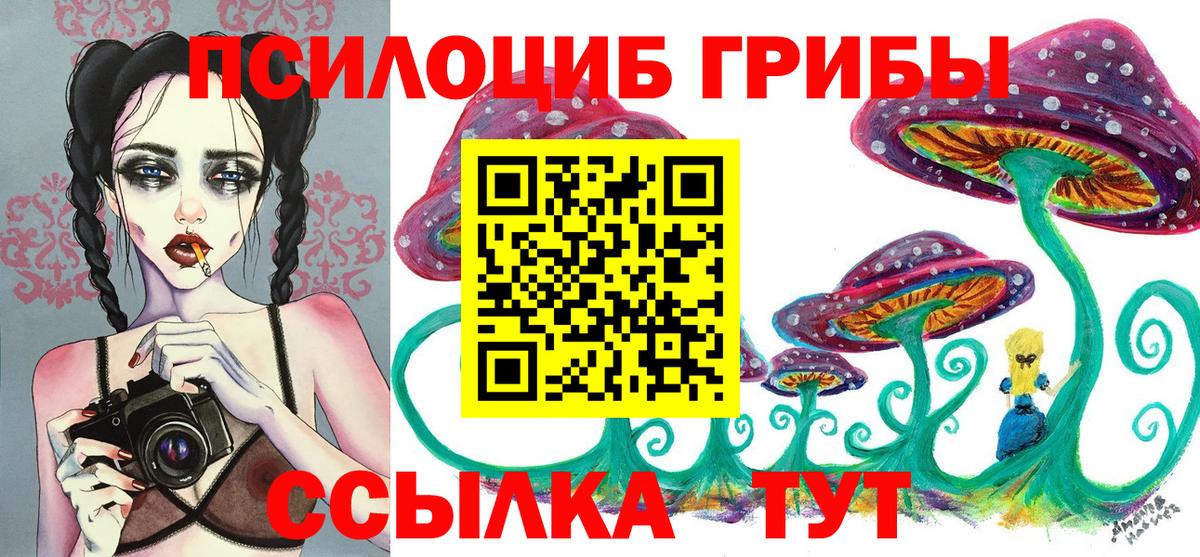 Галлюциногенные грибы Psilocybine cubensis Минеральные Воды