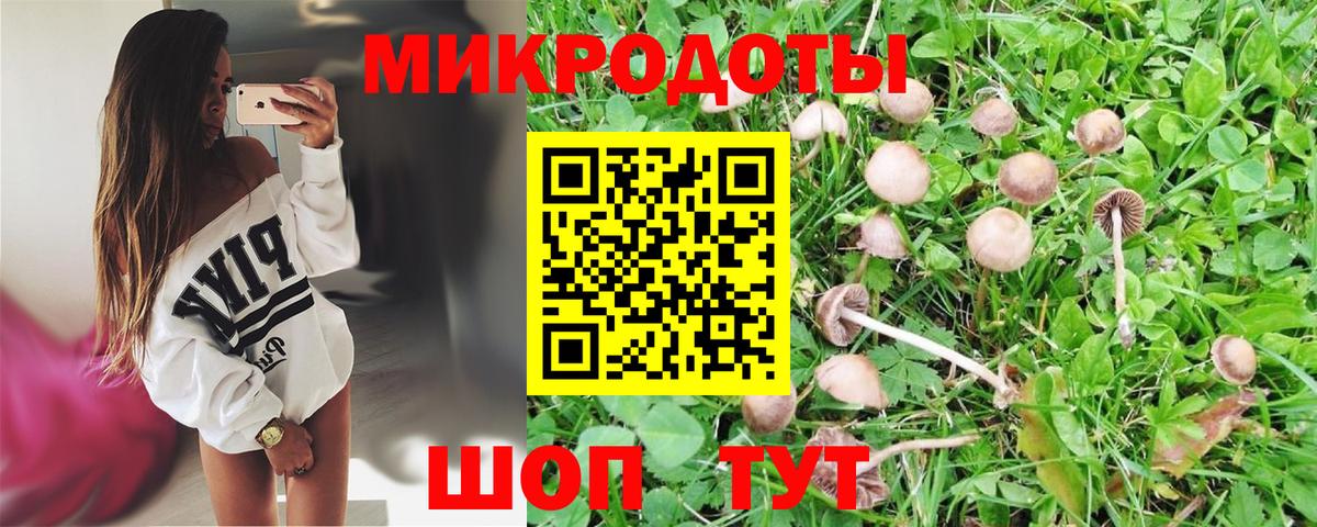 Псилоцибиновые грибы MAGIC MUSHROOMS  Псилоцибиновые грибы ЛСД  Минеральные Воды  цена наркотик  Вход с VPN 